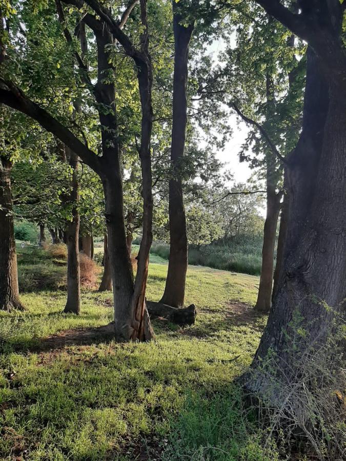 Zeekoegat Historical Homestead Riversdale Εξωτερικό φωτογραφία